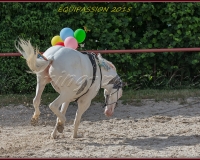 1-13JUIN 1257